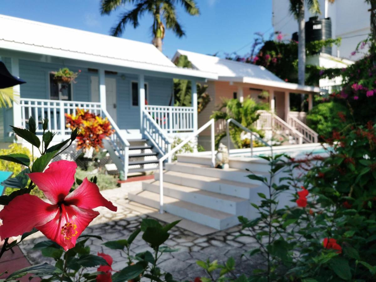 Harbour View Boutique Hotel & Yoga Retreat Belize City Exteriér fotografie