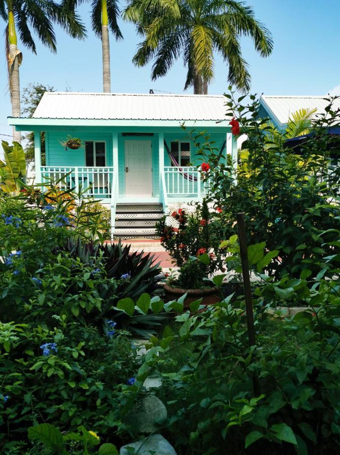 Harbour View Boutique Hotel & Yoga Retreat Belize City Exteriér fotografie