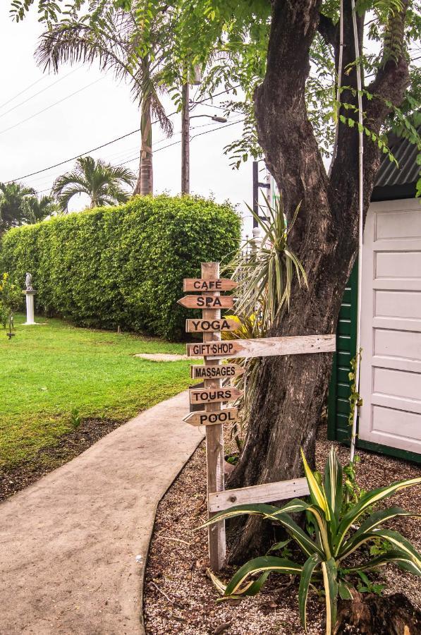 Harbour View Boutique Hotel & Yoga Retreat Belize City Exteriér fotografie