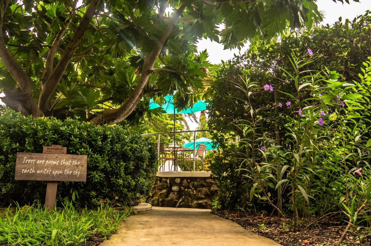 Harbour View Boutique Hotel & Yoga Retreat Belize City Exteriér fotografie